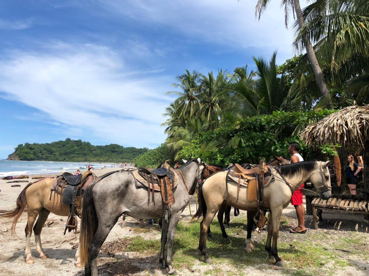 Macao Beach Sámara 외부 사진