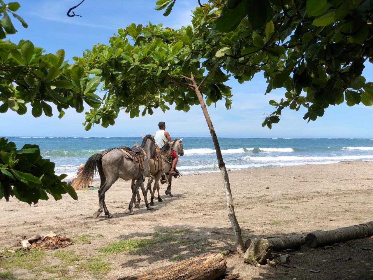 Macao Beach Sámara 외부 사진