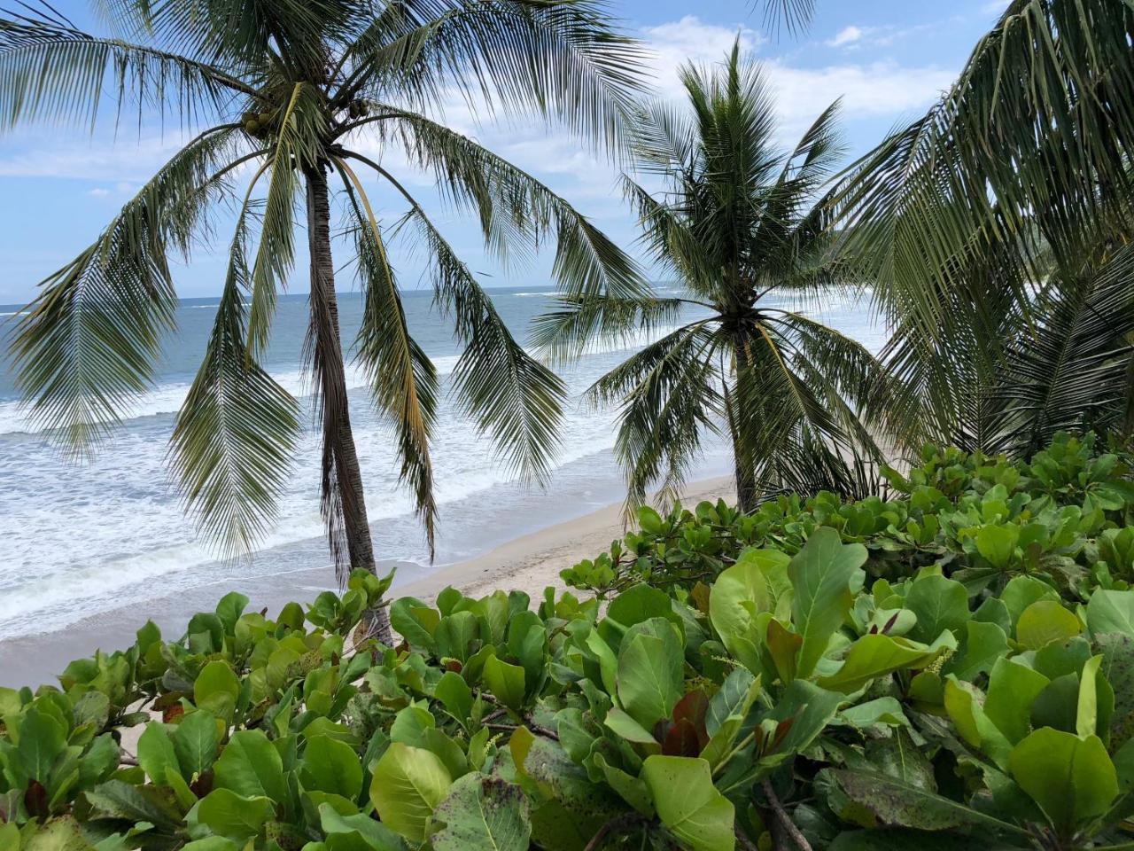 Macao Beach Sámara 외부 사진